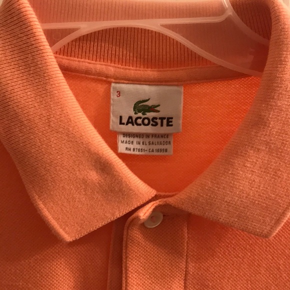 Polo shirt - Picture 2 of 2